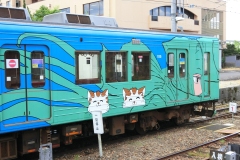 CIMG0079