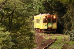 CIMG0600