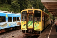 CIMG0602