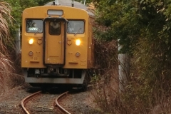 CIMG0704
