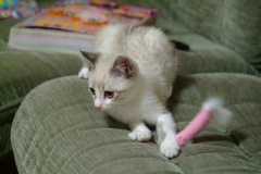 201101Sp-022