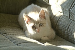 201101Sp-027