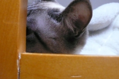 1_201204LXb-021