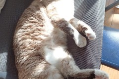 1_LINE_ALBUM_かんちゃ2020_211226_106