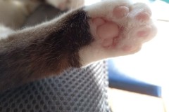 1_LINE_ALBUM_かんちゃ2020_211226_108