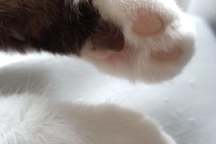 1_LINE_ALBUM_かんちゃ2020_211226_114