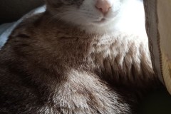 1_LINE_ALBUM_かんちゃ2020_211226_115