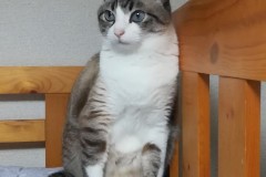 1_LINE_ALBUM_かんちゃ2020_211226_74