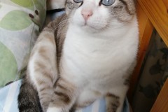 1_LINE_ALBUM_かんちゃ2020_211226_90