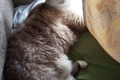 LINE_ALBUM_かんちゃ2020_211226_117