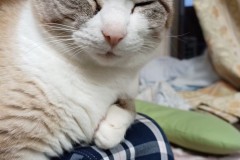 LINE_ALBUM_かんちゃ2020_211226_127