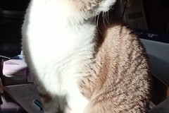 LINE_ALBUM_かんちゃ2020_211226_130