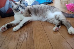 LINE_ALBUM_かんちゃ2020_211226_133