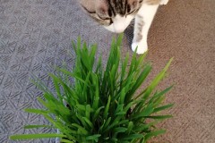 LINE_ALBUM_かんちゃ2020_211226_147