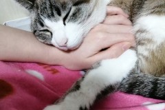 LINE_ALBUM_かんちゃ2020_211226_42