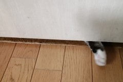 LINE_ALBUM_かんちゃ2020_211226_49