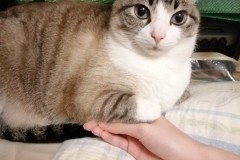 LINE_ALBUM_かんちゃ2020_211226_60