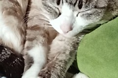 LINE_ALBUM_かんちゃ2021_211226_13