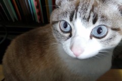 LINE_ALBUM_かんちゃ2021_211226_20