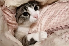 LINE_ALBUM_かんちゃ2021_211226_27