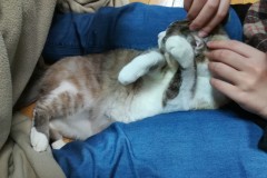 LINE_ALBUM_かんちゃ2021_211226_29