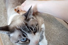 LINE_ALBUM_かんちゃ2021_211226_45