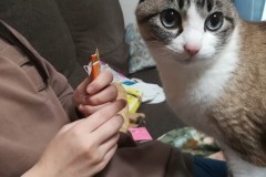 LINE_ALBUM_かんちゃ2021_211226_55