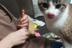 LINE_ALBUM_かんちゃ2021_211226_57