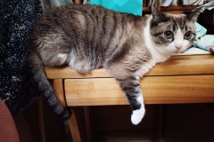 LINE_ALBUM_かんちゃ2021_211226_65