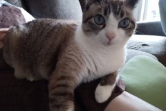 LINE_ALBUM_かんちゃ2021_211226_66