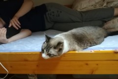 LINE_ALBUM_かんちゃ2021_211226_73