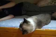 LINE_ALBUM_かんちゃ2021_211226_76