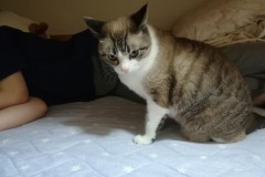 LINE_ALBUM_かんちゃ2021_211226_78