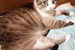 LINE_ALBUM_かんちゃ2021_211226_82