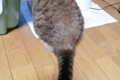 LINE_ALBUM_かんちゃ2021_211226_85