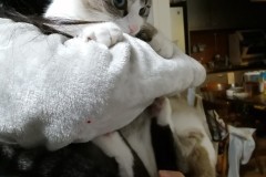 LINE_ALBUM_かんちゃ2021_211226_92