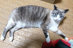 LINE_ALBUM_かんちゃ2021_211226_94