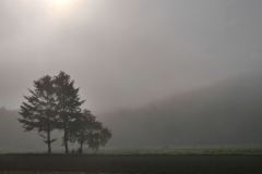 P5090332