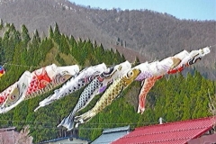 1_201105hakuba-030HP