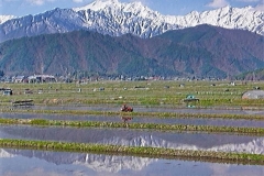 1_201105hakuba-090HP