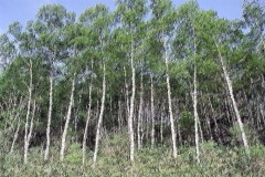 1_92B02-0012