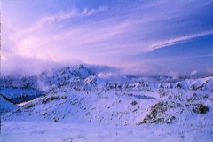 1_92D05_0004