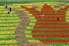 1_94D01_0001