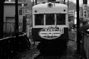 nose_1981