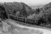 nose_1982