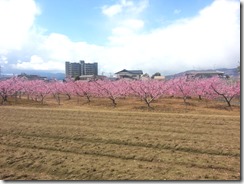 20140406_121910_Android