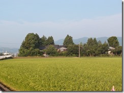 201408XZ-229