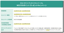 デジタルパス３
